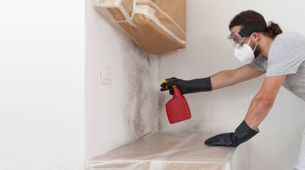 Professional Commercial Mold Remediation technician working in Interlochen, MI