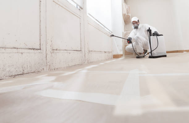 24/7 Emergency Commercial Mold Remediation experts in Interlochen, MI